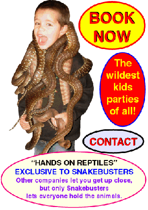 bookings kids reptile parties Melbourne